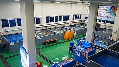 바다 향 입안 가득한 제철 대게를 맛볼수 있는 속초 맛집 '홍게대게타운'