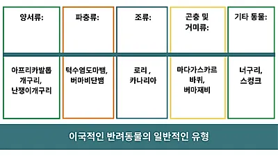 양서류·파충류·곤충…이국적인 동물 향한 관심 늘지만 지식은 부족