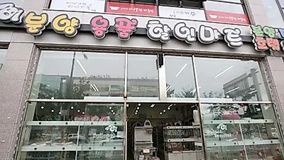 헬로펫, 강아지 고양이 분양 할인 이벤트 진행
