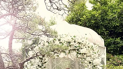 라파엘웨딩 스튜디오 웨딩촬영 및 본식스냅 서비스에 따른 패키지 선택 진행가능