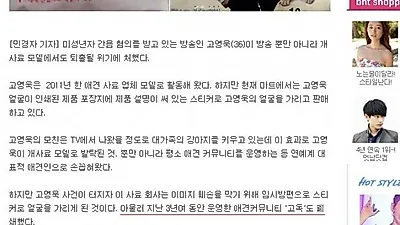 사실 확인 부족한 가수 고영욱 관련 기사