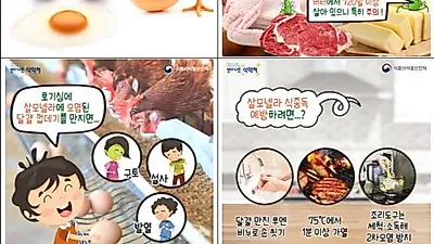 식중독 집단발생...부산시, 전체 어린이집 대상 급식 위생 안전관리 강화
