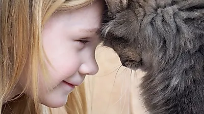 고양이가 당신에게 사랑한다고 말하는 방법