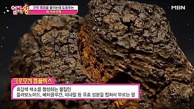 차가버섯 분말먹는방법, 차가버섯차 "신이 내린 최고의 은총"이라 불려… 차가버섯 효능 "이정도야?"