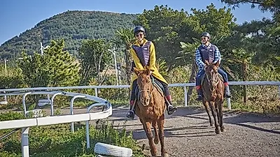 연말 제주도 가볼만한곳으로 관심받는 성읍랜드, 제주 여행코스로 적합해