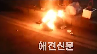 중국집 주인이 불태운 고양이, 착각에 의한 단순 해프닝 논란