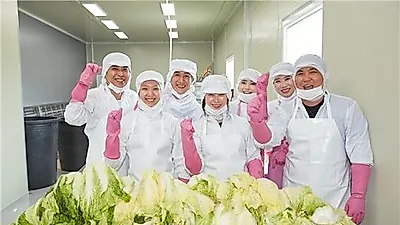 청년푸드(주), 서민갑부 장평화와 해남 절임배추 판매 개시 