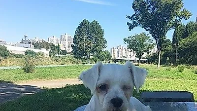 조윤희, 청량 가득한 하늘아래 "안녕! 구름아 우리 잘 지내보자!"