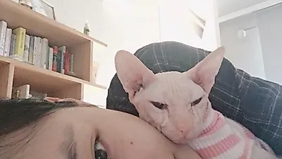 설리, 눈처럼 하얀 고양이와 함께 '다정다감'