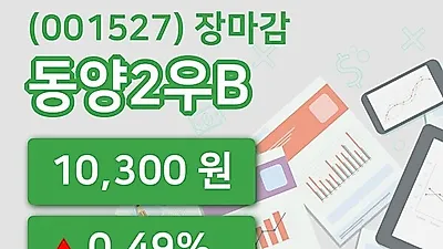 국내주식마감동양2우B 10일 10,300원 장 마쳐...