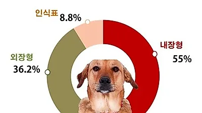 2015년 동물 등록 현황 '내장형 55%'