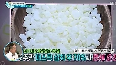 [위장에좋은음식] 위암·역류성 식도염 예방해주는 '천연 소화제' 매스틱 효능·매스틱 검·먹는 법·부작용은?