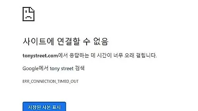 토니스트리트 홈페이지 접속 지연…대체 왜?