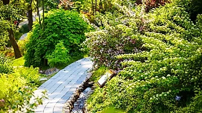 [경기도 가볼만한 곳]10월 여행지 추천으로 핫한 이곳 '곤지암화담숲' 국내 당일치기 여행으로 제격