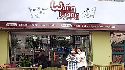 [탐방] 상큼발랄 왕씨 자매의 강아지 천국 '애견카페 왕왕'