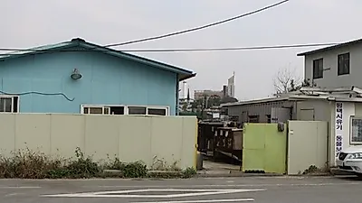 지자체운영 유기동물호소 환경 및 보호실태-평택시