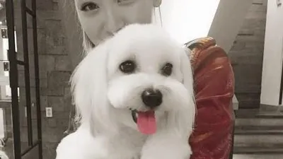 레인보우 재경 반려견과 다정다감 일상 공개