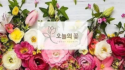 화훼시장 온라인 플랫폼 '오늘의꽃', 런칭과 동시에 고속버스터미널 업체 참여