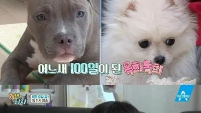 '개밥 주는 남자' 양형제, 옥희독희 백일 상 직접 차린다