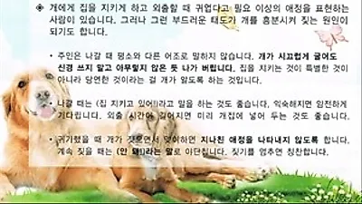 이웃간의 분쟁 해결을 위한 짖는 개 훈련요령