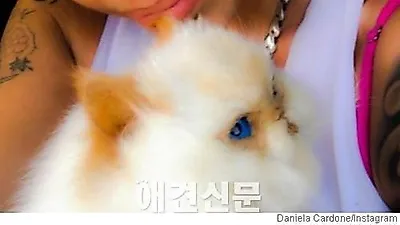죽은 반려묘를 박제로 만든 여자