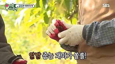 소고기 무한리필 어디, 화제 이유? "된장찌개에도 찰떡" 이상민 슬리피 눈길
