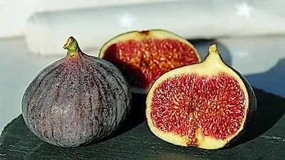 무화과,  칼로리 낮을 뿐만 아니라  효능도 각양각색…  고르는 방법부터  다양한 활용법까지