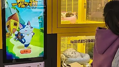 中서 살아있는 '강아지·고양이' 게임 자판기 1등 상품으로 전시