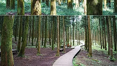 [국내여름휴가] '별점 5개' 받은 제주도 숨은 명소! 이번 여행 코스는 여기로