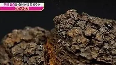 차가버섯 효능 관심, 홍여진 "좀 처질 때 먹는다"