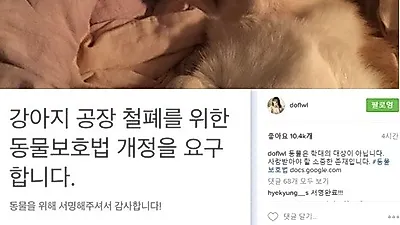 윤승아, 강아지 공장 철폐 주장 "사랑받아야 할 소중한 존재"