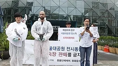 동물단체 케어, '서울대공원 전시동물 도축' 규탄