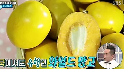 [다이어트음식] '만물상' 12시간다이어트의 비법은? 와일드망고의 효능을 알아보자