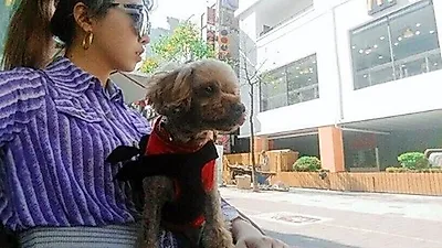 공민지, 반려견과 나른한 일상 "우리 더기"
