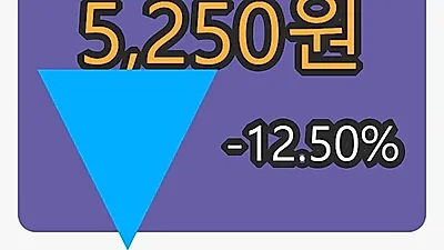 제노포커스 5일 마감가 5,250원, 전일비 -12.50프로등락..