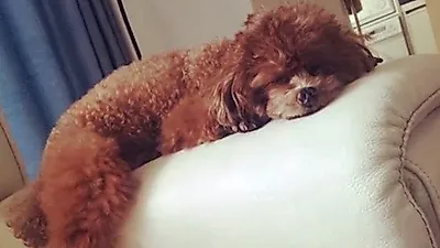지코, 쪼똥이 향한 폭풍 애정 "졸려요~"