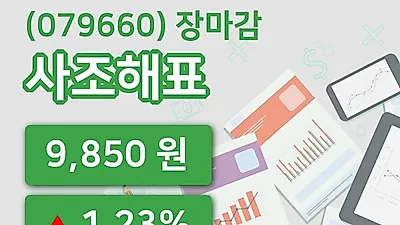 주식마감사조해표 12일 9,850원 마감...