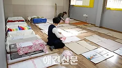 [포토뉴스] 캣맘 "절대적 안정이 중요"