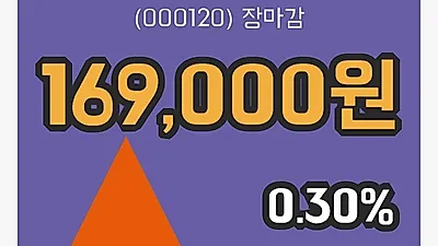 국내주식마감CJ대한통운 22일 169,000원 장 마쳐그래프분석