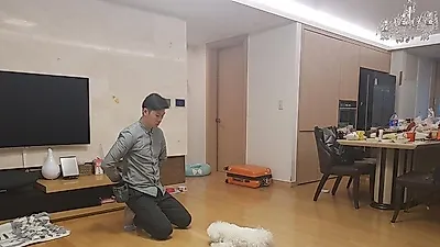 강아지 1대1 과외 시대, 애견과외 전문 시우스쿨링