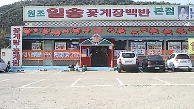 안면도맛집 일송꽃게장백반의 게국지와 꽃게 요리