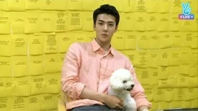 엑소 세훈, 반려견 향한 사랑 "비비 보는 순간 고단함 사라져"