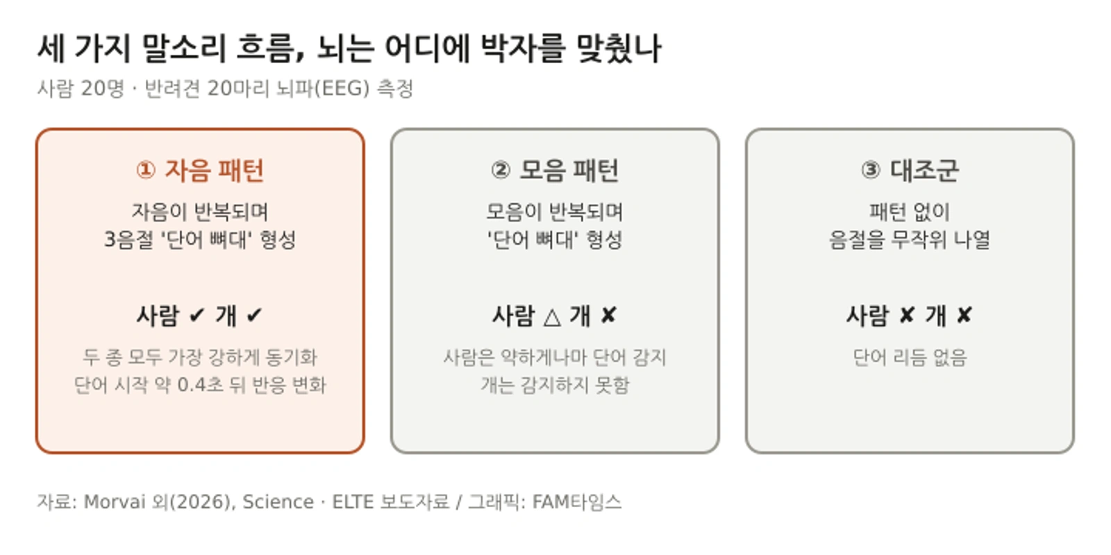실험 설계: 세 종류 말소리 흐름에 대한 개와 사람의 뇌 반응 비교 (ELTE 발표 자료를 바탕으로 FAM타임스 재구성)