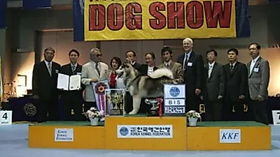 9월, 제1회 유카누바배 KKF 챔피언쉽 도그쇼 개최