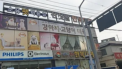 광주애견유치원 '광주소유', 행동교정 애견 관리 전문가와, 미용 전문가가 운영해 눈길