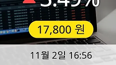 이노와이어리스 2일 17,800원