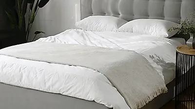 메모리폼침대매트리스 "마스슬립(MARS SLEEP)", 대구가구거리에 주목받는 비결은