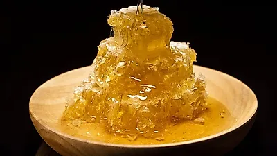 천연 벌굴… 피부에 탁월한 효능