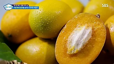 [다이어트식단] 와일드망고 다이어트 효과있을까? 와일드망고 효능 및 부작용 확인하기