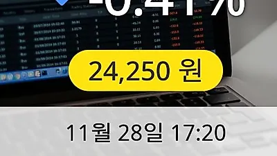 대상 28일 24,250원 장종보고